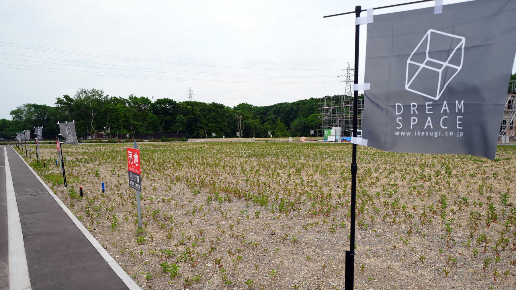 千歳市あずさ地区・北信濃第6地区の分譲地。造成を終えた敷地に生杉建設の旗が並ぶ