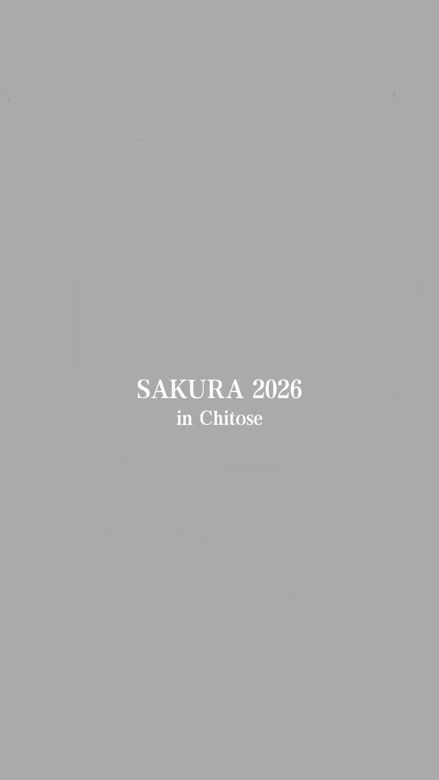 SAKURA 2026 in Chitose 🌸
ようやく見頃を迎えた千歳・恵庭の桜。
短いけれど、最高に美しい北海道の春をお届けします。

皆さまはもうお花見に行かれましたか？
おすすめの桜スポットがあれば、ぜひコメントで教えてくださいね✨

また来年も、この場所で綺麗な花が見られますように。

#生杉建設 #北海道 #千歳市 #恵庭市 #新築戸建住宅

千歳市・恵庭市で土地購入、新築戸建住宅の建築をお考えの方は是非ご相談下さい。
詳しくはプロフィール欄からホームページにアクセスして下さい！